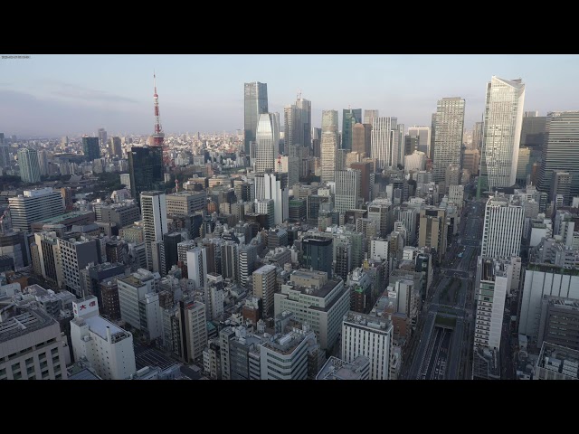 [4K Live] 東京・汐留 ライブカメラ live stream of Shimbashi,Tokyo