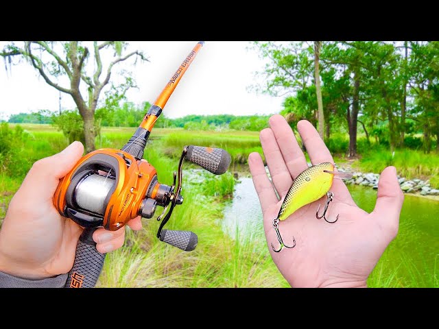 We Caught 40 Bass in 30 Minutes!!! (UNREAL Day Of Fishing)