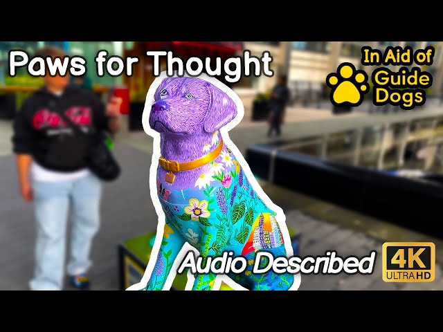 AUDIO DESCRIBED | Just the Dogs | Paws on the Wharf