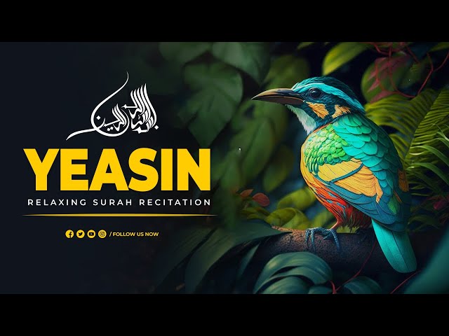 Surah Yasin(Yaseen) | Full With Arabic | Beautiful recitation