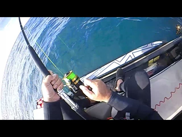 Jet Ski Fishing chasing Sunny Coast Sharks