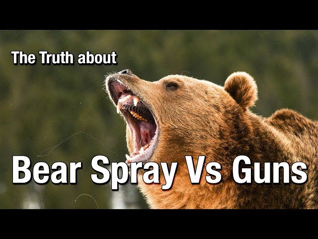 The Truth about Bear Spray Vs Guns