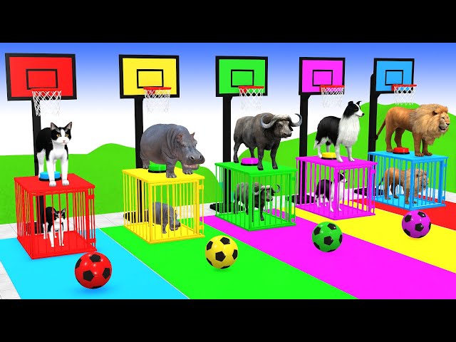 Basket Ball Game Game With Cow Elephant Gorilla Tiger Dinosaur Wild Animal Escape Cage Game