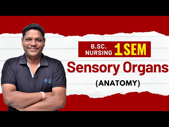 Sensory Organs anatomy in hindi | bsc nursing 1st sem | Sensory Organs anatomy | anatomy 1st sem