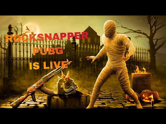 WHAT HAPPENED TO BGMI NEW UPDATE 2.8.? ROCK SNAPPER PUBG IS LIVE #pubg #pubggaming #bgmi