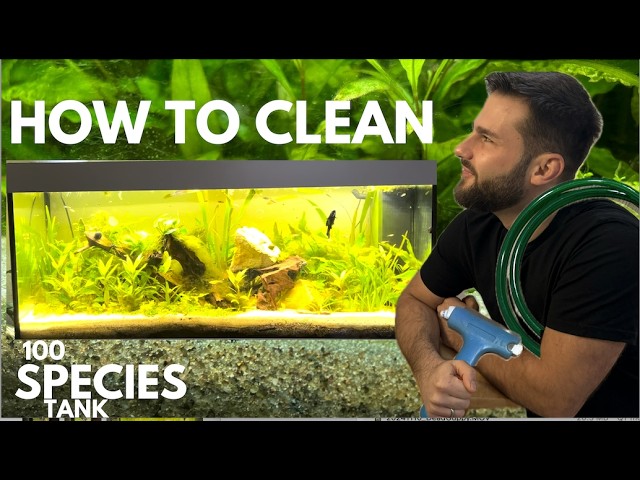 Deep Cleaning Routine of the 100 SPECIES Ecosystem Aquarium (Ep. 4)