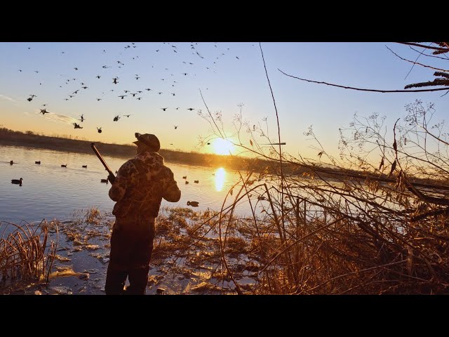 LATE Season January Mallards (4 MAN LIMIT)