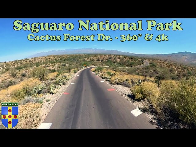 Saguaro National Park - Cactus Forest Dr., 360º & 4k