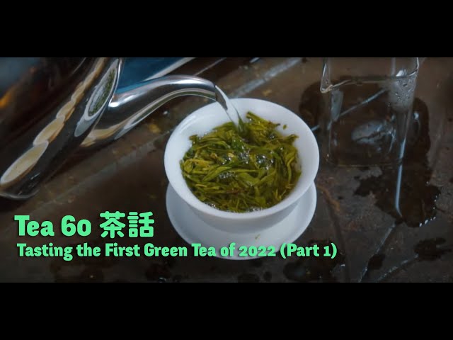 Tea60 茶話 - Tasting The First Fresh Green Tea of 2022 (Part 1 of 2)