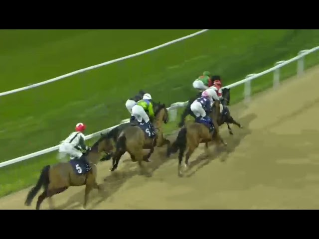 Southwell Racecourse | Race 06 | Full Race Replay | 2024-01-18