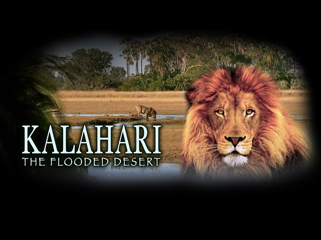 Kalahari: The Flooded Desert (Full Movie in HD)