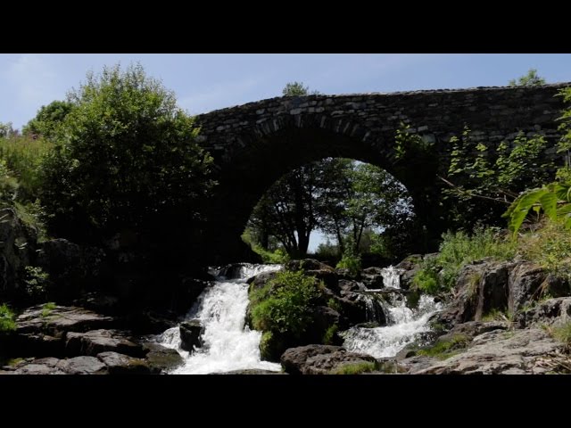 Piquer une tête au pont de Maury