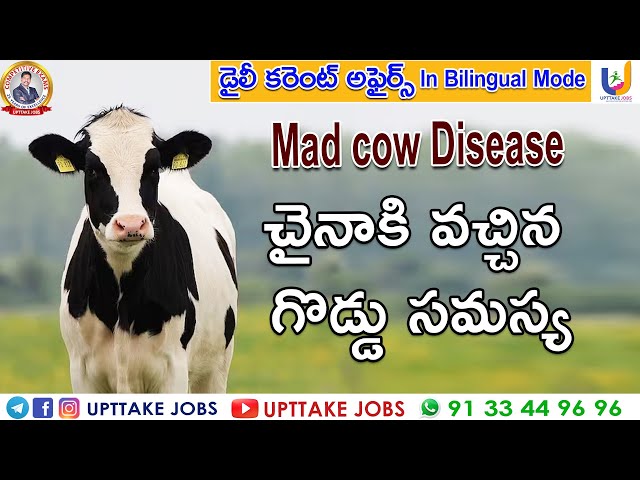 Mad Cow Disease | Current Affairs February 2023 Telugu | APPSC | TSPSC | UPTTAKE JOBS