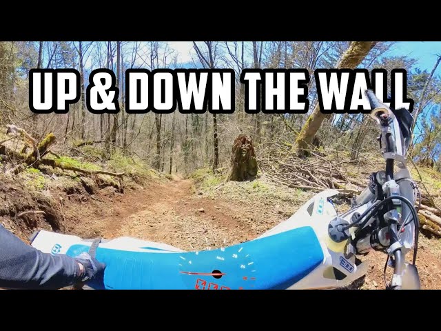 Do you like DirtBike HillClimb's in VR? 360 experience. #pnw