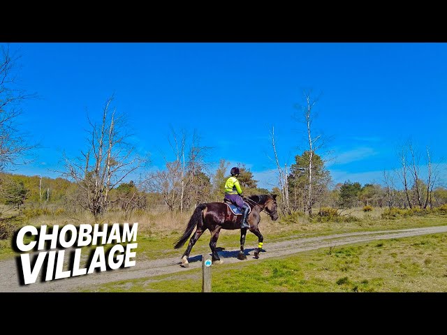 ENGLAND Walk 🏴󠁧󠁢󠁥󠁮󠁧󠁿 - Exploring Chobham, a charming village located in Surrey, England 🏡