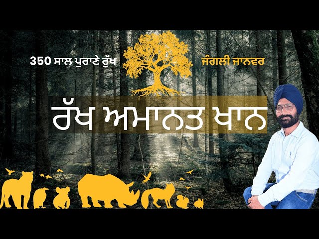 Rakh Amanat Khan Forest | 350 ਸਾਲ ਪੁਰਾਣੇ ਰੁੱਖ | Forest Amanat Khan | Reserve Forest Amanat Khan |