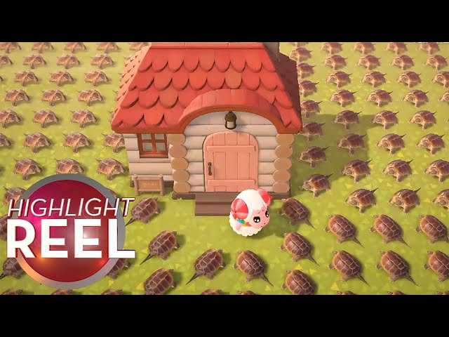 Highlight Reel #545 - Oh No