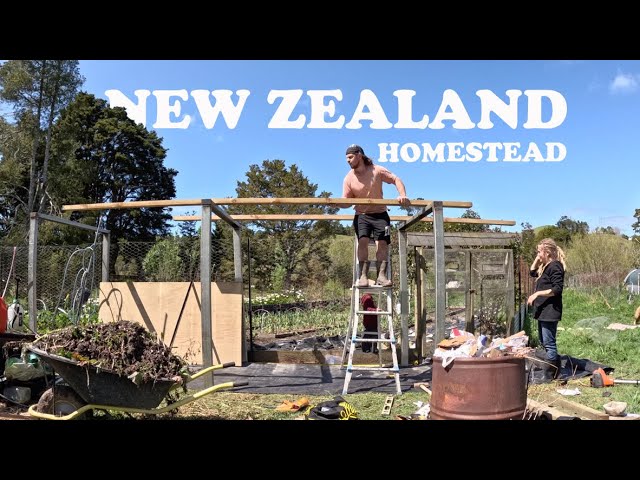 Another structure up on our New Zealand Homestead (vlog)