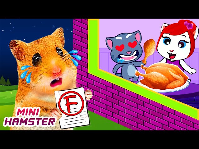 Sorry Mommy Minnie, Don't Mad At Hamster | Funny animals | Hamster Stories in Real Life 🐹