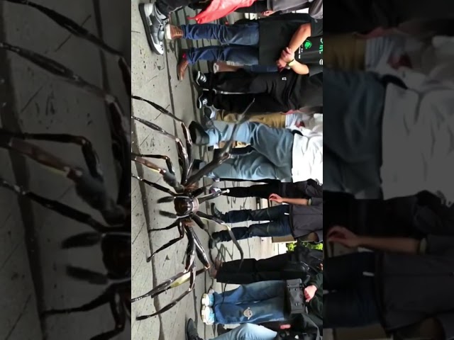 BIG SPIDER #shorts #viralvideo #ai #trending Ai generated video