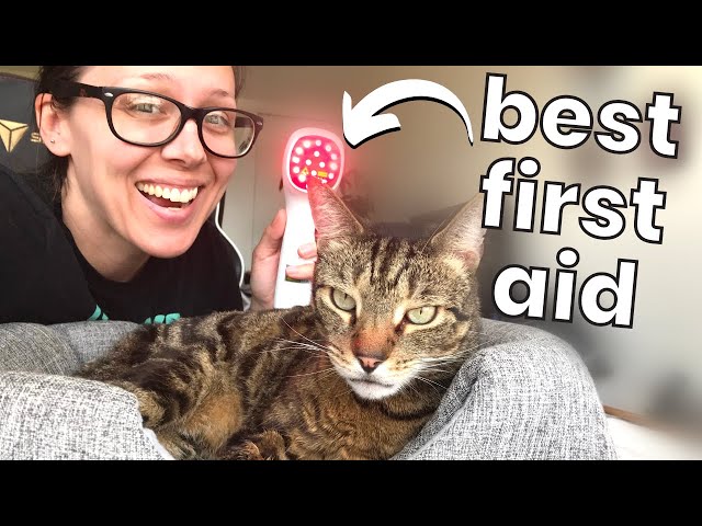 How I use red light therapy for me and my cat