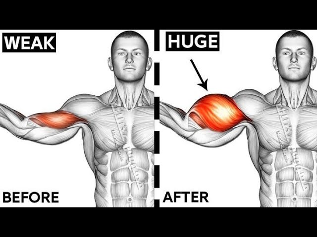 Most Effective Biceps and Triceps Workout at Gym