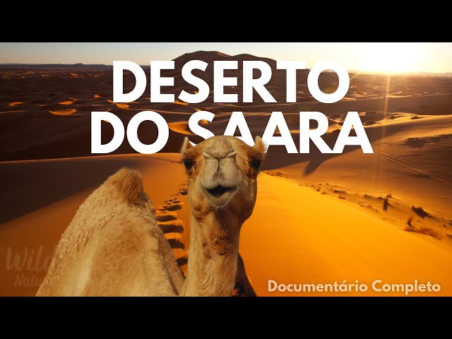 DESERTO DO SAARA - A BELEZA OCULTA DO INFINITO | Documentário Completo