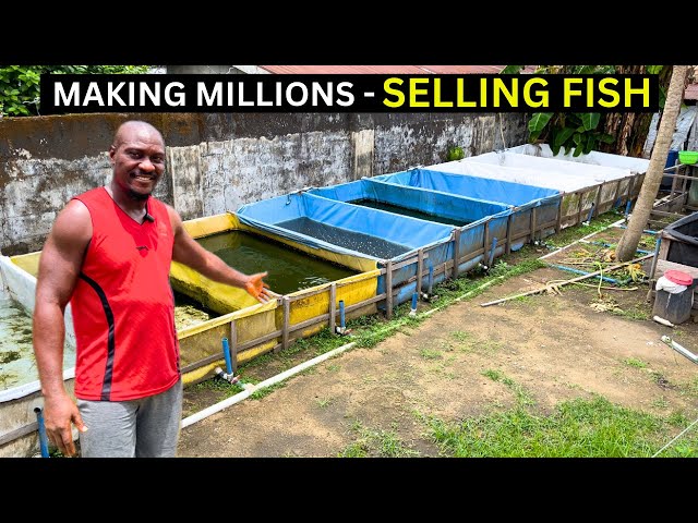 He Started a Backyard Fish Farm in Nigeria