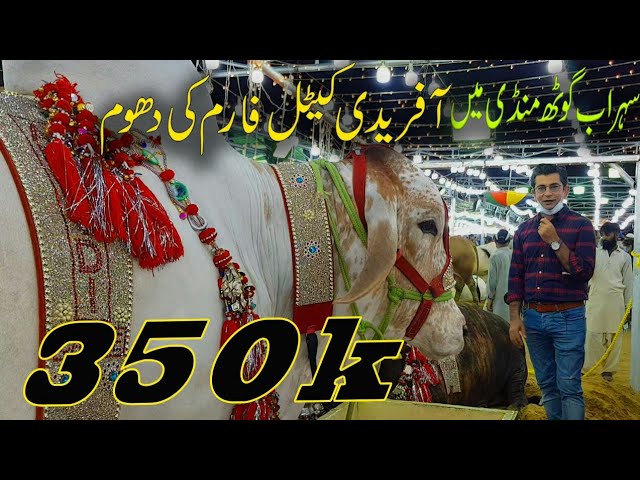 Cow Mandi 2020 Afridi Cattle Farm Tour| Mandi Reviews by People| Mudasser Iqbal