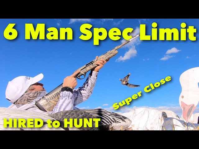 Hired to Hunt Season 7 #7: 6 Man spec Limit ... Duck and Goose Hunting. Limit Hunts in Alberta