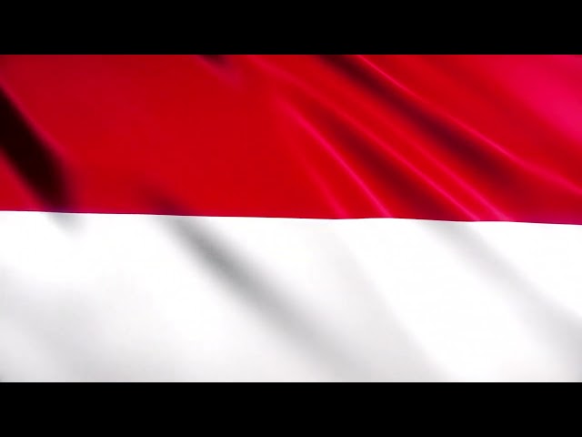 [11 Hours] Indonesian Flag Waving - Waving Flags