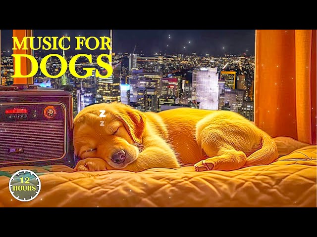 3 HOURS of Calming Music For Dogs - The Best Anti-Anxiety Music for Dogs & Stress Relief for Dogs