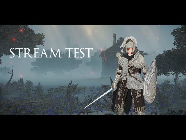 DARK SOULS II TEST STREAM