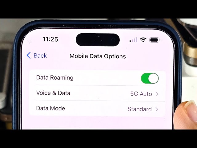 How To Activate Roaming on iPhone 15 Pro Max