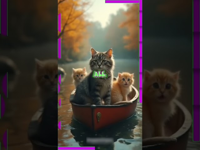 Persian Cat and Kittens Version APT . Apateu