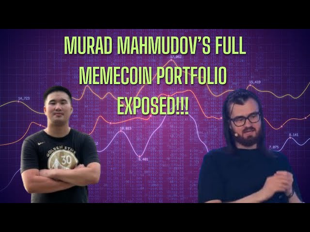 Murad Mahmudov's Entire Memecoin Portfolio EXPOSED