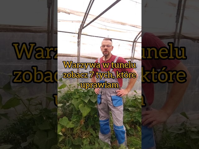 Jakie warzywa w tunelu - zobacz jak uprawiam 7 warzyw