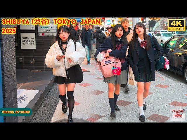 4k hdr Japan travel 2025 | Walk in Shibuya (渋谷) Tokyo Japan |  Relaxing Natural City ambience