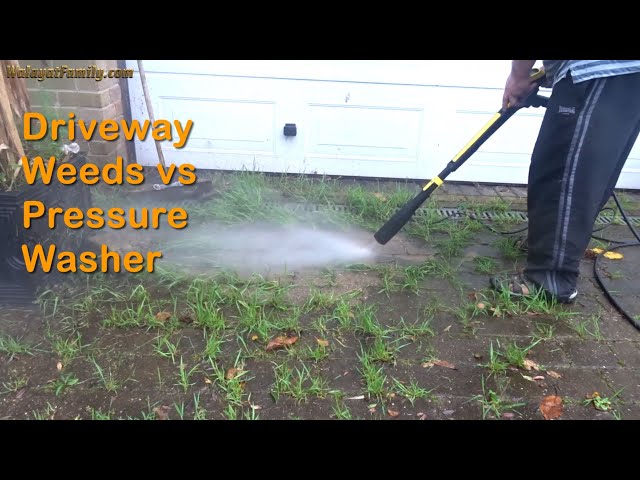 Killing Driveway Weeds FAST with a Pressure Washer - Saving Block Paving from LOTS of WEEDs