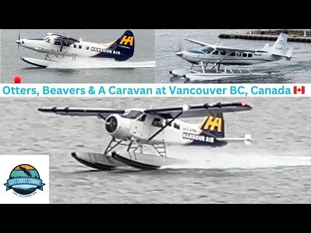 They Float, They Fly, They’re Fabulous – Vancouver’s Seaplane Stars!