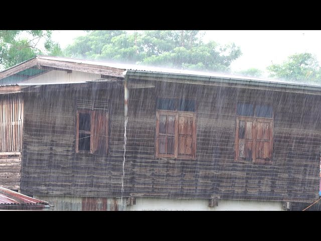 HEAVY RAIN Sounds on Old Wooden House - 3 Hours for Sleeping, Relax, Study, insomnia, Reduce Stress