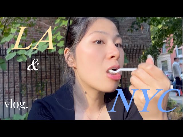 la & nyc vlog | santa monica beach, venice beach, nami nori, new york pizza, 엘에이 뉴욕 브이로그, 미국유학생 브이로그