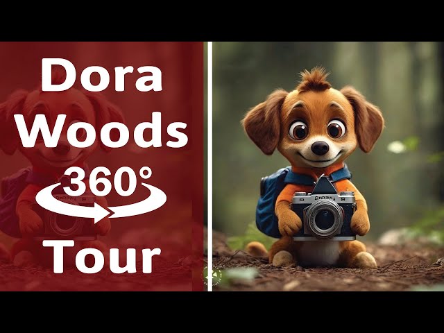 Dog View Walk | Dora the Explorer