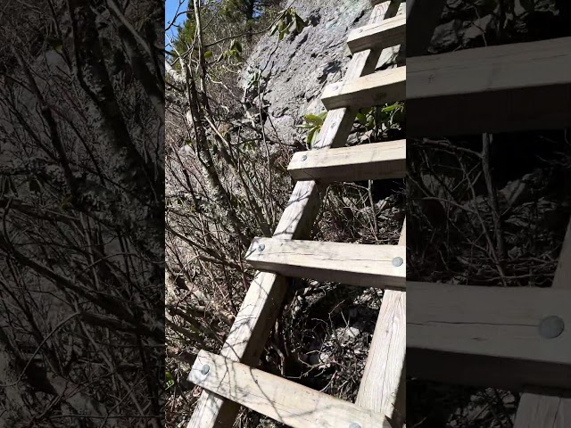 Coming down a ladder on the side of a mountain! #hiking #adventure