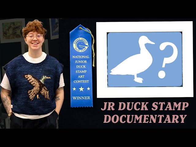 Junior Duck Stamp Documentary