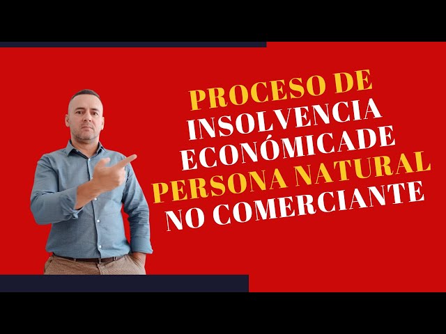 PROCESO DE INSOLVENCIA DE PERSONA NATURAL NO COMERCIANTE