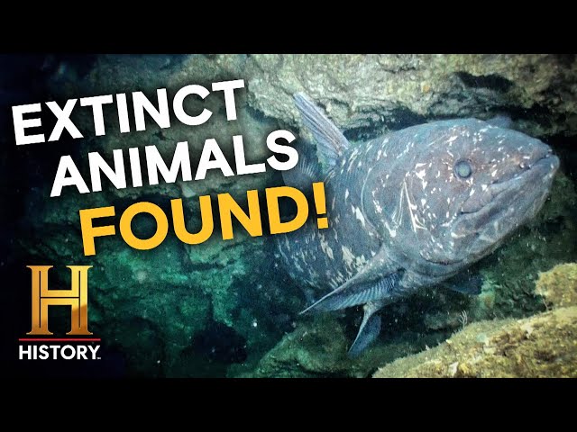 Scientists Stunned by Extinct Creature Discovery (Season 4) | Mysteries Unearthed with Danny Trejo