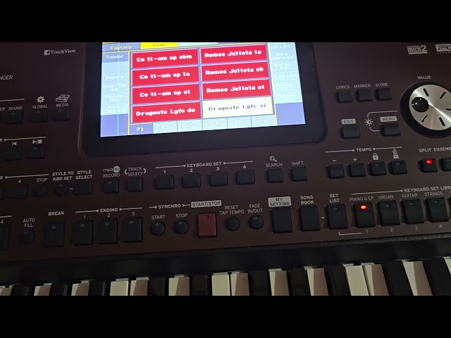 Piese Manual korg pa 700 ianuarie 2025