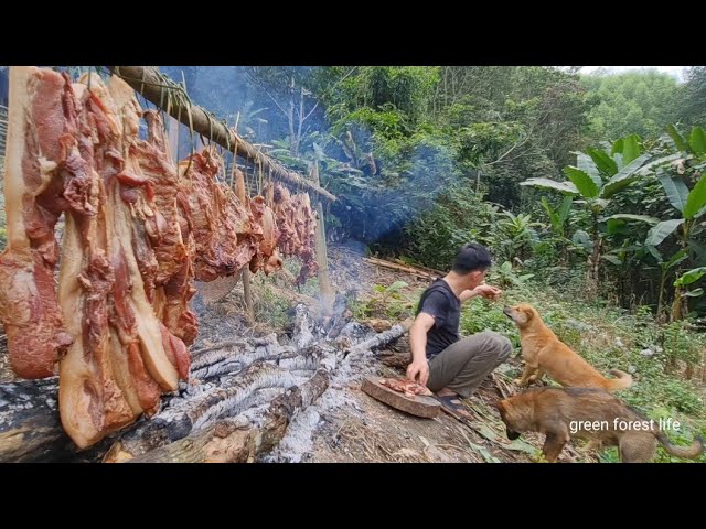 Storing food from a whole wild boar, eating for a long time, Survival Instinct, Wilderness Alone