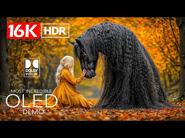 MOST INCREDIBLE 16K HDR 120 FPS Dolby Vision (8K Video ULTRA HD)